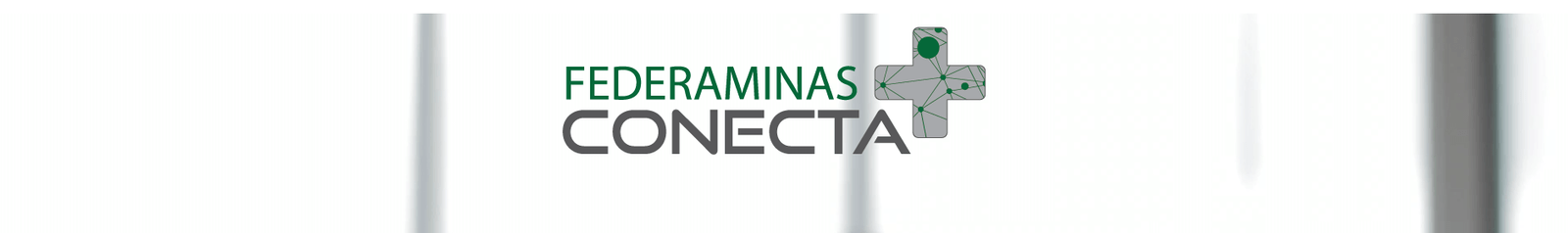 Conecta+mais